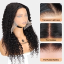 curly human hair wigs