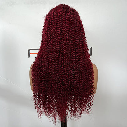 pre plucked 13x6 curly lace front wig 24 inch human hair