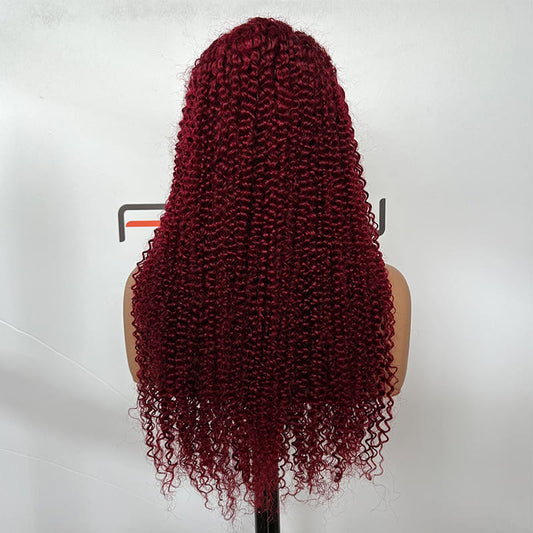 pre plucked 13x6 curly lace front wig 24 inch human hair